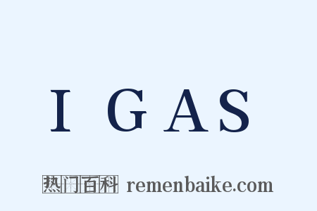IGAS是什么意思的图片